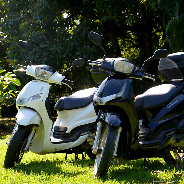 Location scooters moorea